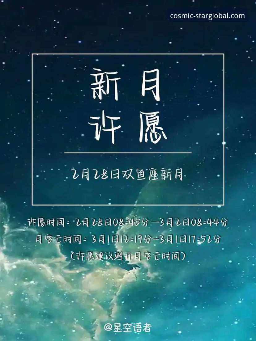 星空官网2025版本必备：新手注册与功能使用完整指南